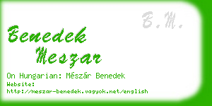 benedek meszar business card